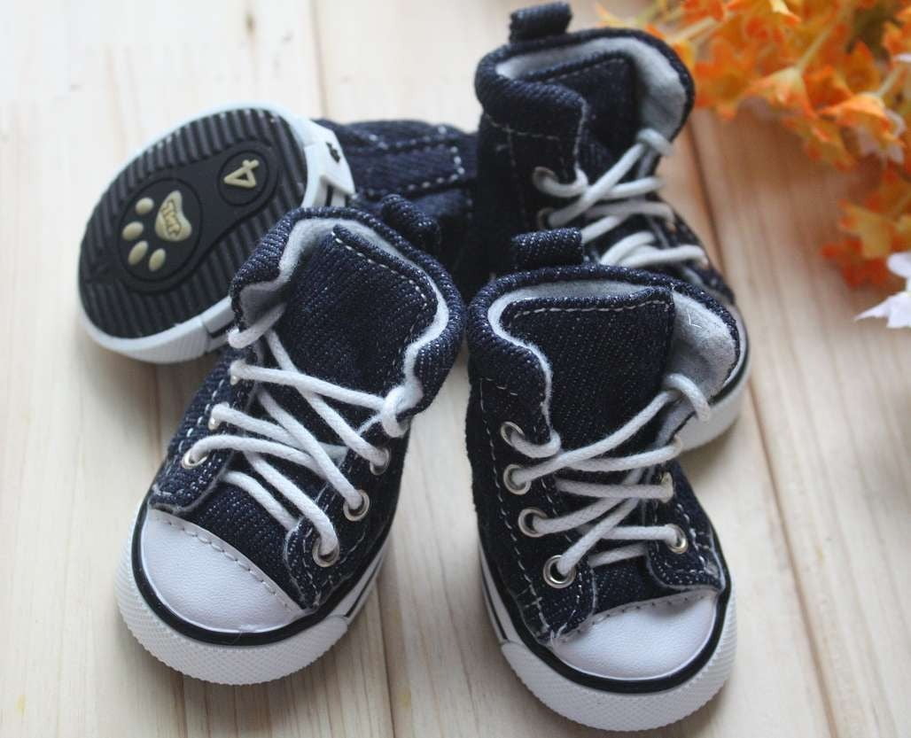 sapatinho all star