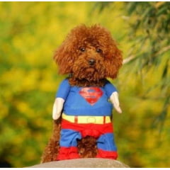 Fantasia Roupa Roupinha Cachorro Gato Super Man Super Homem